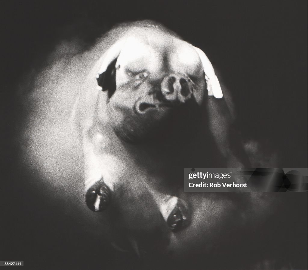 Pink Floyd, Pig,Ahoy' 19-02-1977, Rotterdam,,