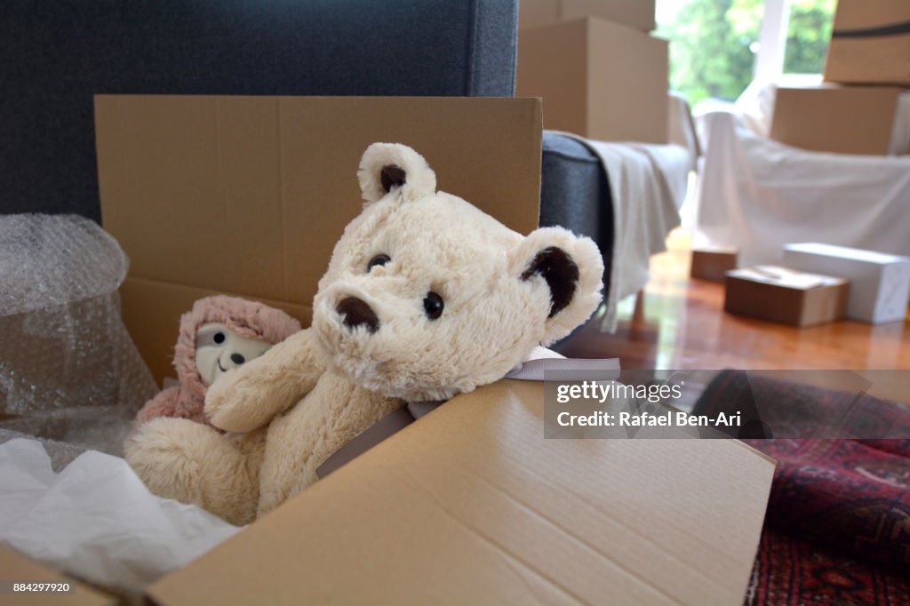 Teddy bears dolls in a moving box