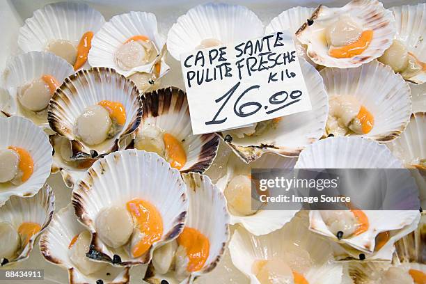 scallops on a market stall - italiaanse tekst stockfoto's en -beelden