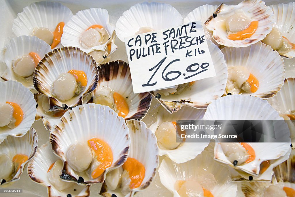 Scallops on a market stall