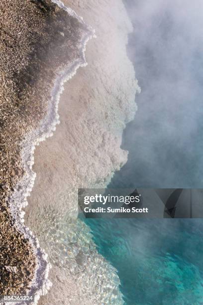 thermophilic bacteria in black pool, west thumb geyser basin, yellowstone national park - thermophile stockfoto's en -beelden