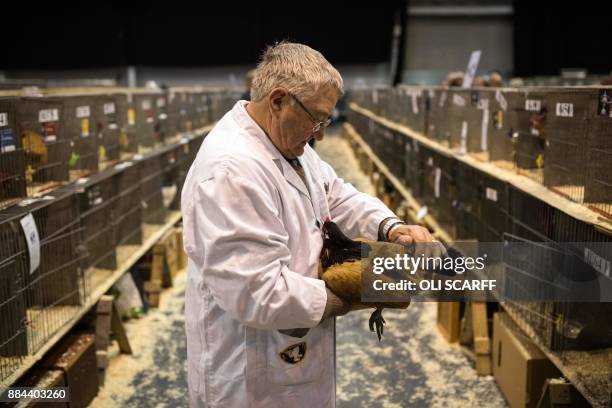 Chicken Judge 380 Vorwerk Stock Photos, High-Res Pictures, and Images - Getty Images