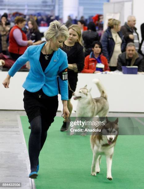 Dogs and their owners attend International Dog Shows of all breeds "Kievan Rus - 2017" and "The Crystal Cup of Ukraine - 2017" in Kiev, Ukraine, on...