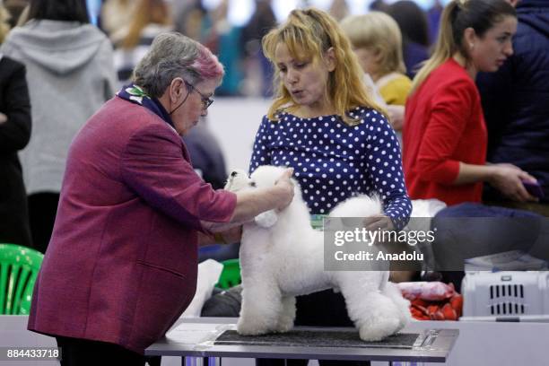 Dogs and their owners attend International Dog Shows of all breeds "Kievan Rus - 2017" and "The Crystal Cup of Ukraine - 2017" in Kiev, Ukraine, on...