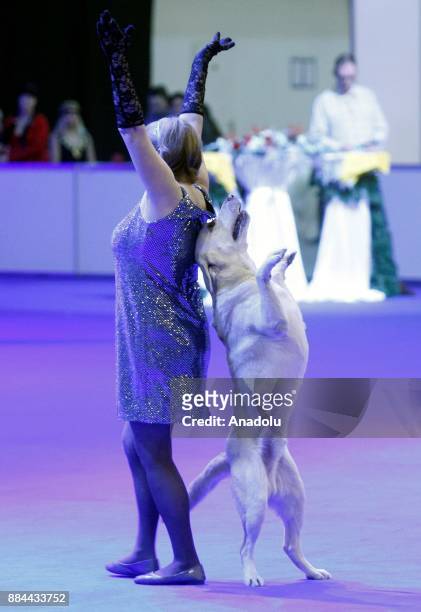 Dog performs with his owner during the International Dog Shows of all breeds "Kievan Rus - 2017" and "The Crystal Cup of Ukraine - 2017" in Kiev,...