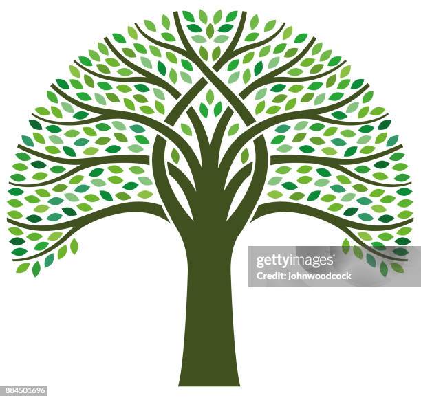 big green tree illustration - tree ring stock illustrations