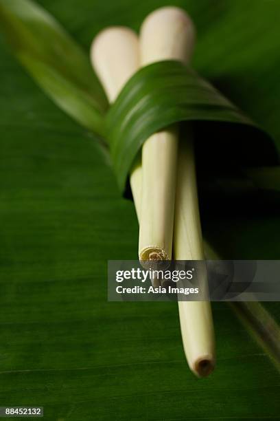 lemon grass stalks placed on top of banana leaf - lemon leaf stock pictures, royalty-free photos & images