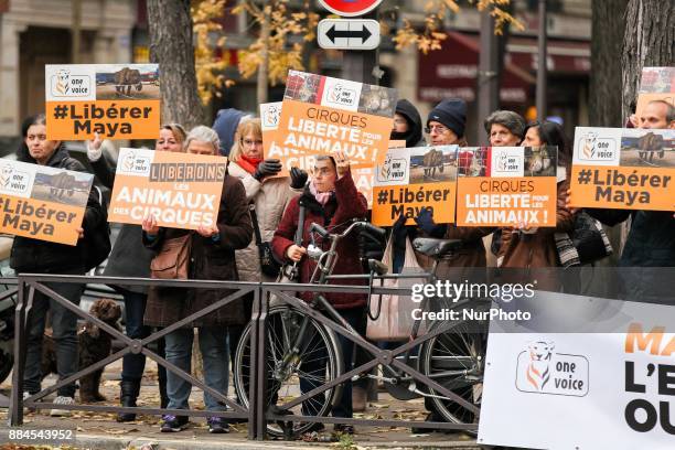 Members of the association One Voice, a French animal rights organisation, demonstrate near the Bormann-Moreno circus in Paris, on December 2 to ask...