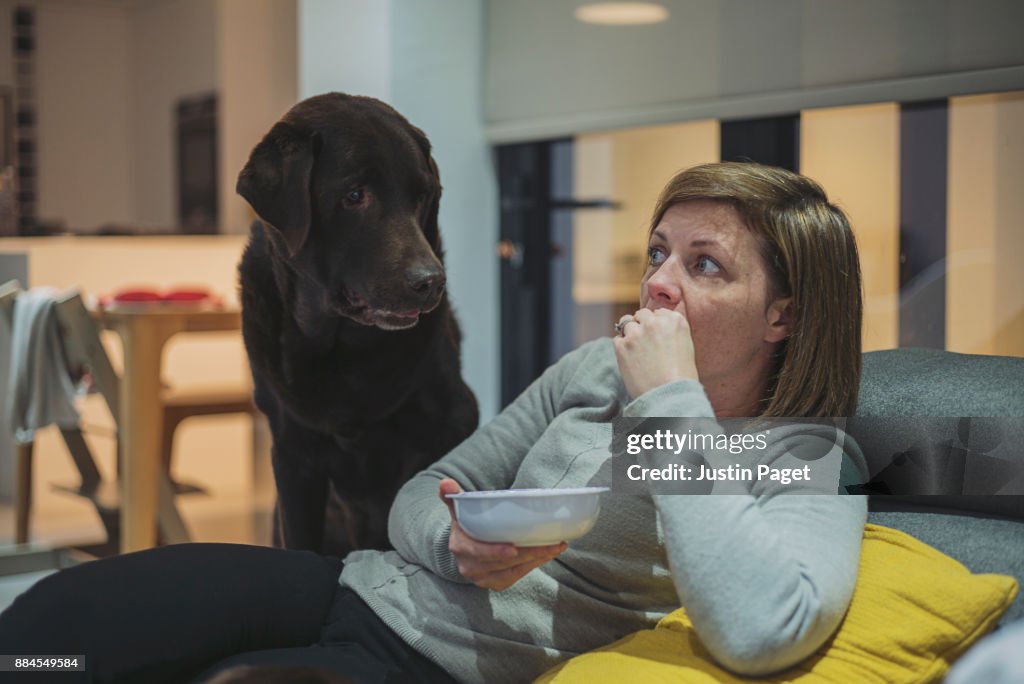 Dog watching woman eat