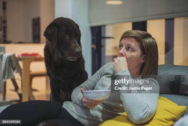 dog watching woman eat - begging animal behavior stockfoto's en -beelden