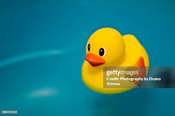 rubber ducky - おもちゃのアヒル ストックフォトと画像