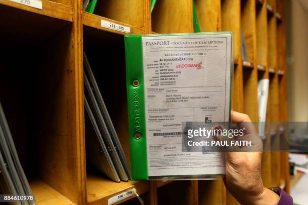 Woman holds a horse passport at the November horse breeding stock sale at Goffs, Ireland's premier public auction house, in Kill, County Kildare,...