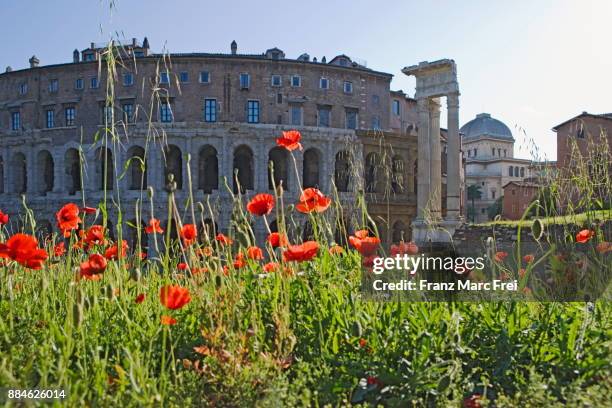 theatre of marcellus, ghetto, rome, lazio, italy - teatro di marcello photos et images de collection