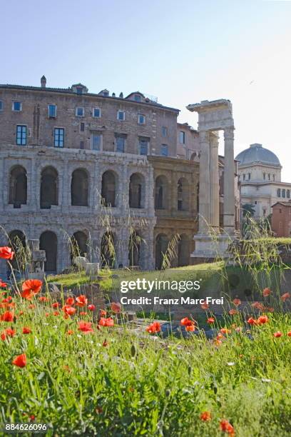 theatre of marcellus, ghetto, rome, lazio, italy - teatro di marcello photos et images de collection