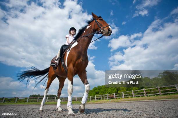 young girl riding a horse. - recreational horseback riding 個照片及圖片檔