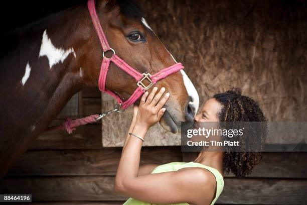 woman nuzzles a horse. - focinhar imagens e fotografias de stock