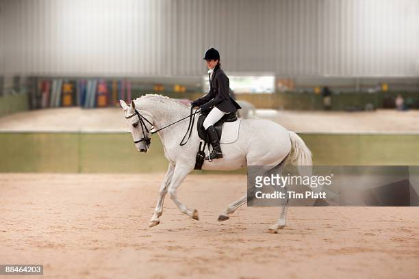 female horse rider practising dressage. - dressage stock pictures, royalty-free photos & images