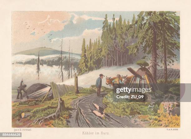 charcoal burner in the harz mountains, lithograph, published in 1886 - burning charcoal stock illustrations