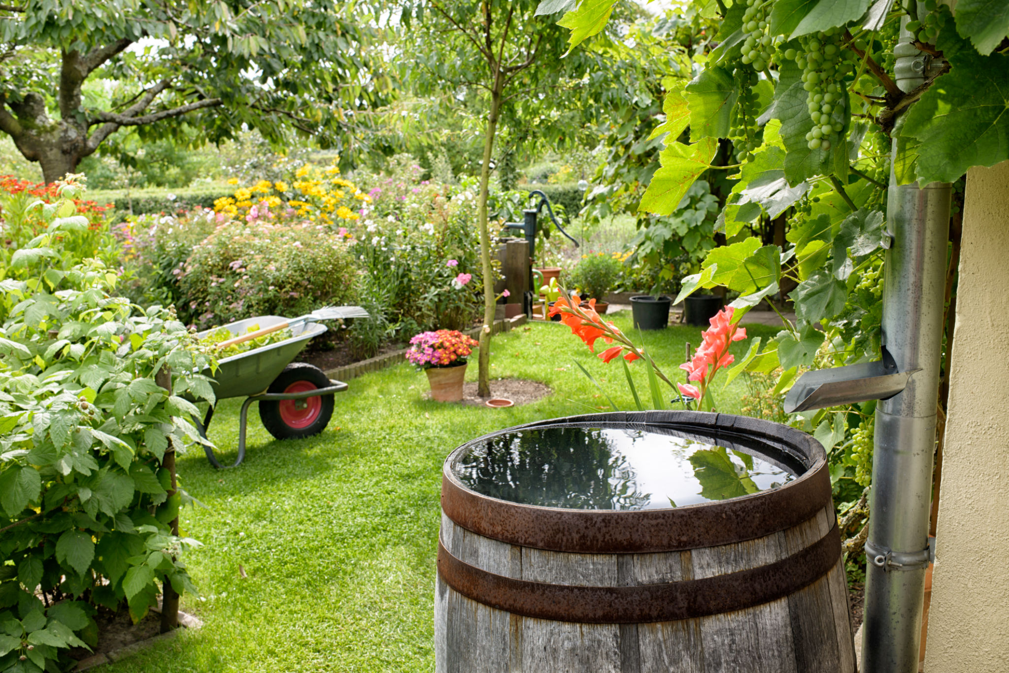 midwestern garden