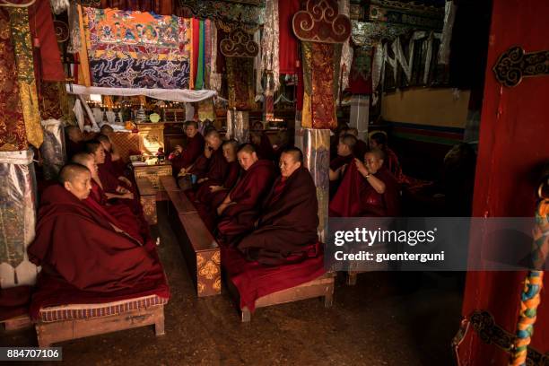 buddhistiska nunnor under den eftermiddagsfika puja, lhasa, tibet - tibetansk buddhism bildbanksfoton och bilder