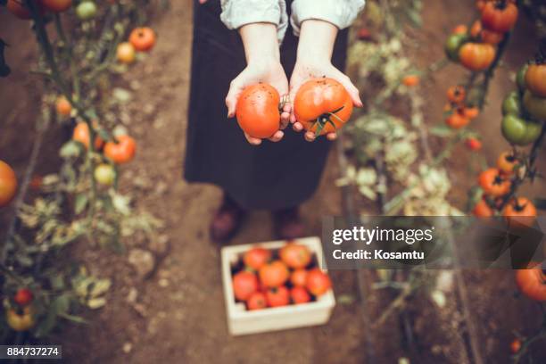 don't panic! it's organic. - dont panic stock pictures, royalty-free photos & images
