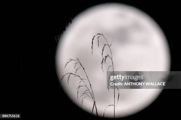 Supermoon' is seen behind plants on a balcony of a residential block in Hong Kong on December 3, 2017. The lunar phenomenon occurs when a full moon...