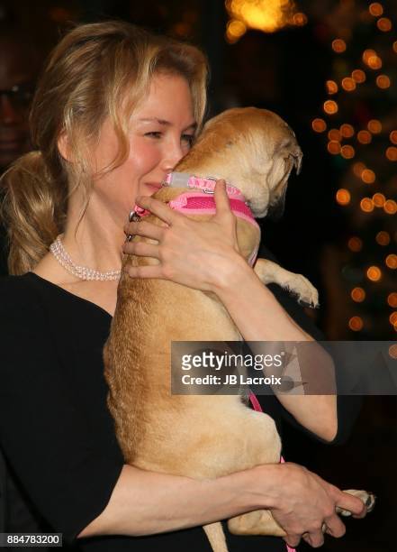 Renee Zellweger attends the ALS Golden West Chapter Hosts Champions for Care and a cure on December 02, 2017 in Los Angeles, California.