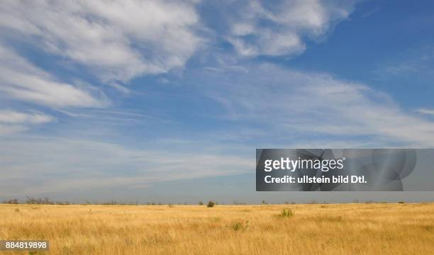 Ukraine, das Donezbecken, Kurzform Donbass, Gebiet Donezk, Landschaft, der blaue Himmel und die gelbe Steppe ? ein Landschaftsbild in den Farben der...