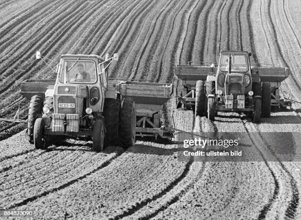 Traktoren mit Kartoffellegemaschinen auf einem Feld - 1975