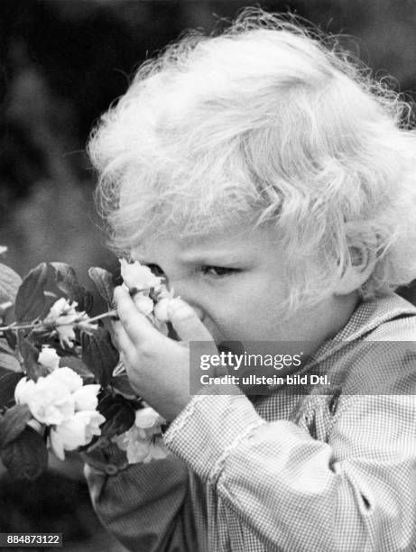 Kleines Mädchen, blond, riecht an Blüten