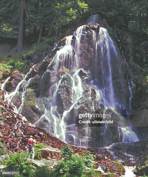Radauer Wasserfall bei Goslar im Harz - gesehen im Juli 2015