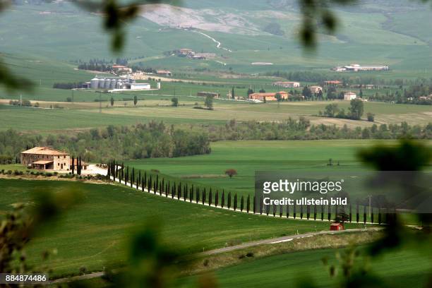 Haus mit Zypressen in der Toscana. Aufgenommen April/Mai 2005.