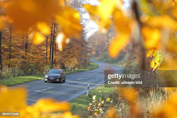Herbst Laubwald Buchenblätter Auto an der L401 -hier gesehen im Weserbergland bei Hannover .
