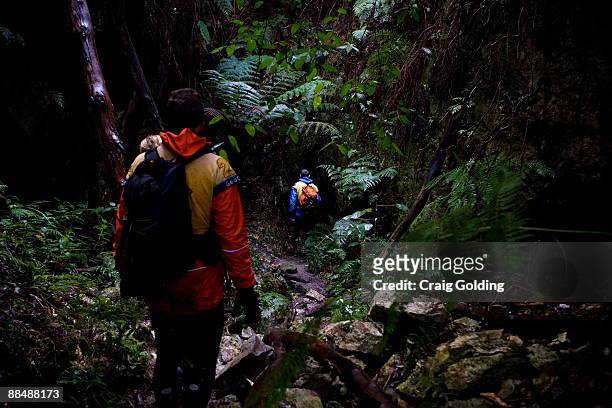 Competitors trek through the Bulahdelah State Forest on day two of the the GeoQuest 48 hour Adventure race held around the Barrington Tops and...