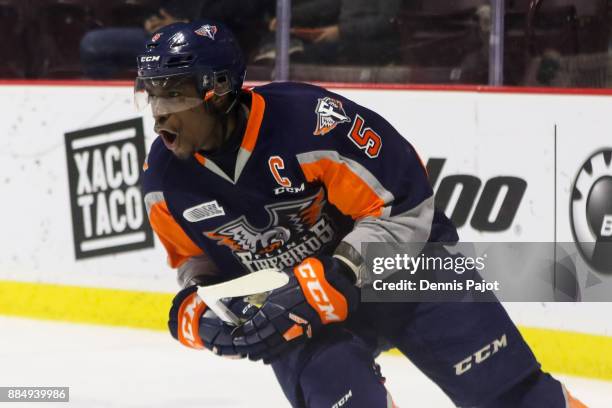 Defenseman Jalen Smereck of the Flint Firebirds celebrates his game winning overtime goal against the Windsor Spitfires on December 3, 2017 at the...