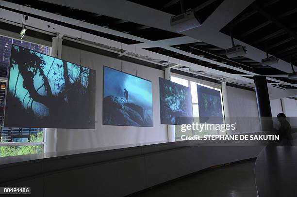 Man visits on June 15, 2009 the exhibition "Tarzan" at the Quai Branly museum in Paris, held from June 16 to September 27, 2009. The museum...