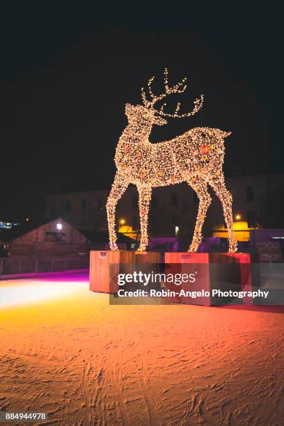 christmas in france - robin angelo photography stock pictures, royalty-free photos & images