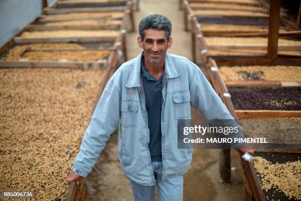 Brazilian farmer Afonso Abreu de Lacerda poses for a picture in his family land in Forquilha do Rio, municipality of Dores do Rio Preto, Espirito...