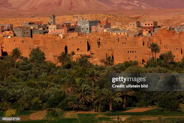 Todra Schlucht, Tinghir, Marokko, Flussoase, Palmen< englisch> Todra Gorge, Tinghir, Morocco, oasis, Palmtrees