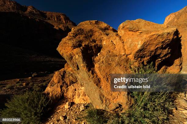 Todra Schlucht, Tinghir, Marokko, Weg zum Plateau < englisch> Todgha Gorge, Tinghir, Morocco