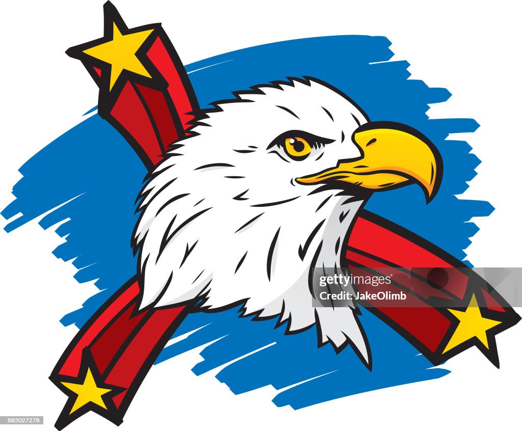 Bald Eagle Hand Drawn High-Res Vector Graphic - Getty Images