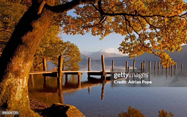 derwentwater in autumn - lake district autumn stockfoto's en -beelden