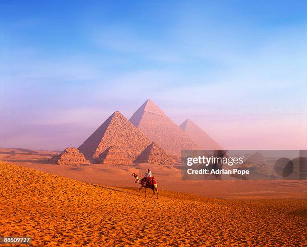 bedouin tribesman on camel with pyramids beyond - pope egypt stock pictures, royalty-free photos & images
