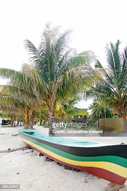 rastafarian colored canoe on beach - the cayes stock pictures, royalty-free photos & images