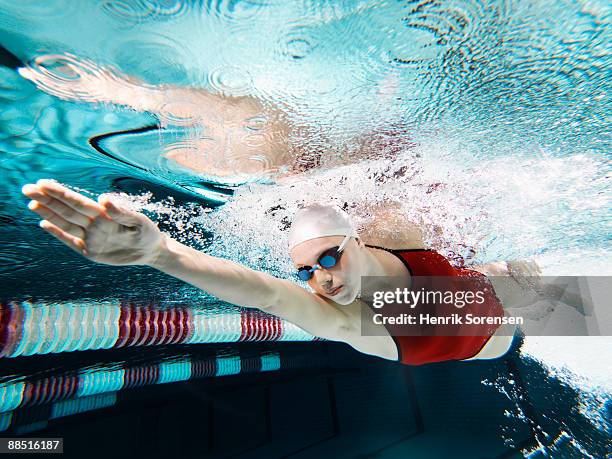 swimmer under water - copetition - competitive swimming stock pictures, royalty-free photos & images