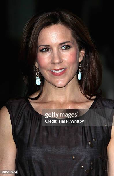 Princess Mary of Denmark attends a private view of a major retrospective exhibition by Danish artist Per Kirkeby at Tate Modern on June 16, 2009 in...