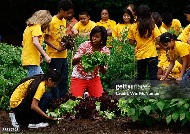 First lady Michelle Obama harvests vegetables from the White House Kitchen Garden with students from Bancroft Elementary School on the South Lawn of...