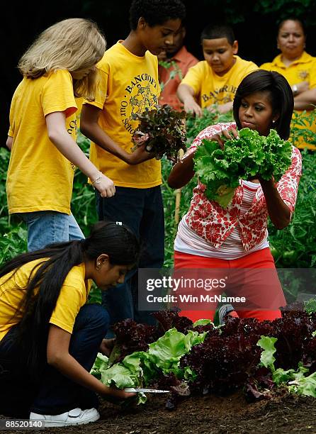 First lady Michelle Obama harvests vegetables from the White House Kitchen Garden with students from Bancroft Elementary School on the South Lawn of...