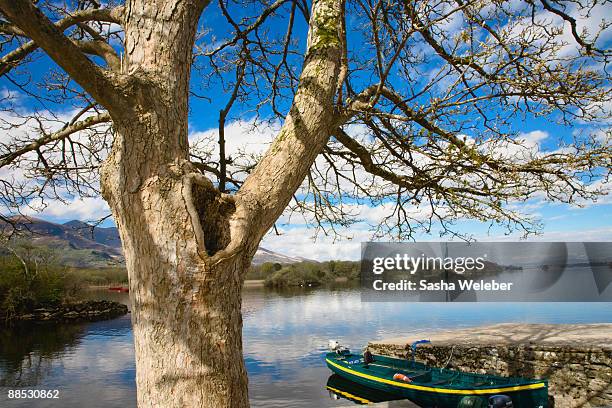 lough leane, killarney national park, ireland - lakes of killarney stock pictures, royalty-free photos & images
