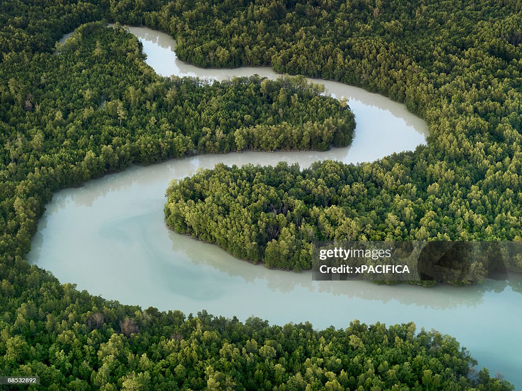 Winidng Rivers A Winding River In Johor Indonesia High-Res Stock Photo - Getty Images